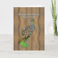 Birthday, Son-in-law, Limpkin Marsh Bird