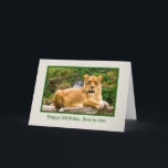 Birthday, Son-in-law, Lion on a Rock Card<br><div class="desc">This lovely female lion resting on a rock and surveying her kingdom makes a wonderful and colourful birthday greeting card.   Feel free to change the inside verse to suit your needs.</div>