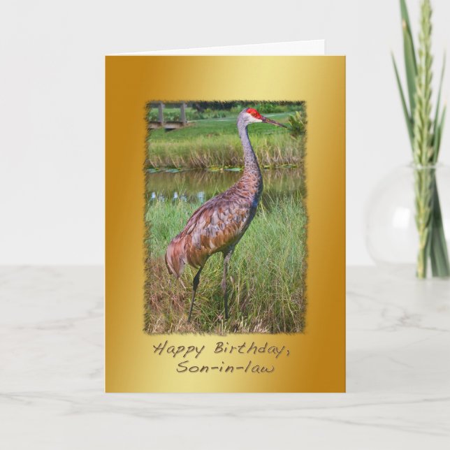 Birthday, Son-in-law, Sandhill Crane Bird Card (Front)