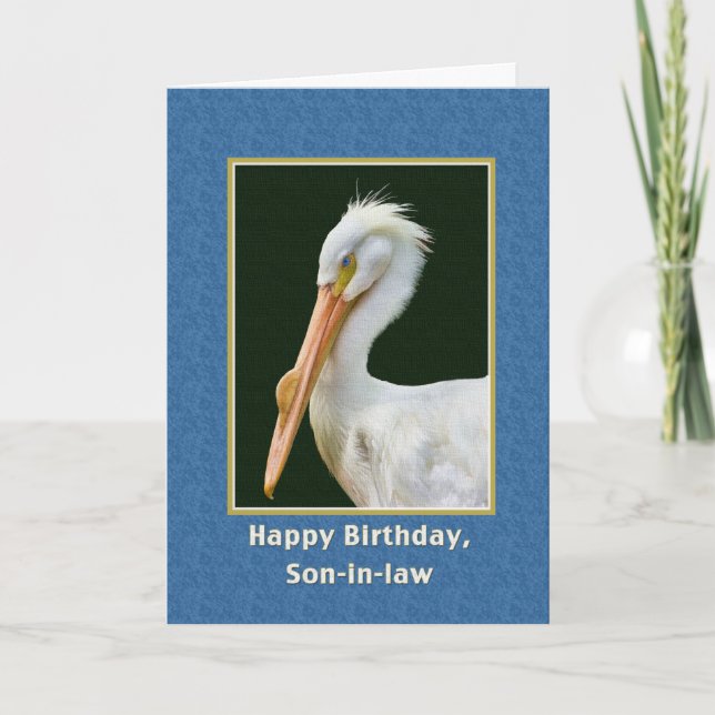 Birthday, Son-in-law, White Pelican Bird Card (Front)