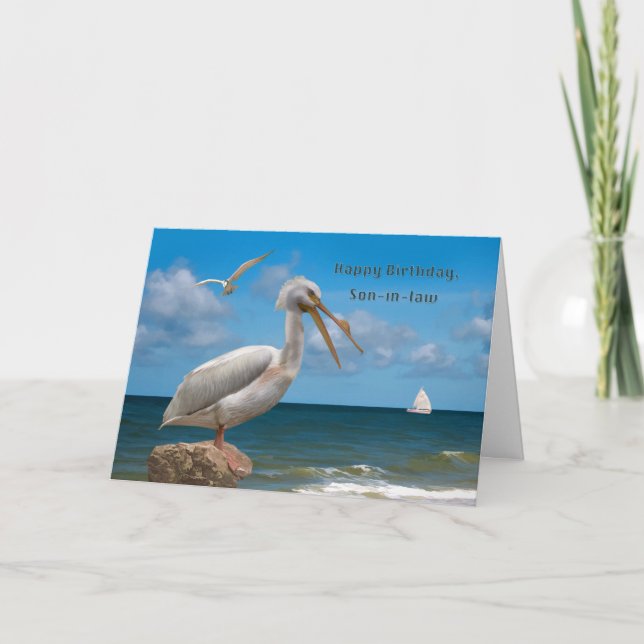 Birthday, Son-in-law, White Pelican on a Rock Card (Front)
