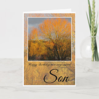 Birthday, Special Son, Sunkissed Winter Trees. Card