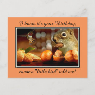 Birthday Squirrel Postcard