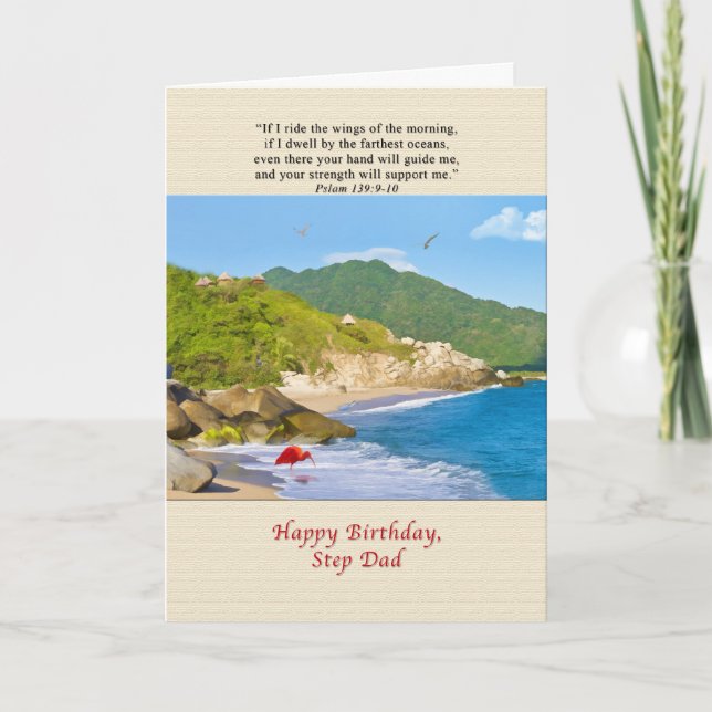 Birthday, Step Dad, Beach, Hills, Birds, Ocean Card (Front)