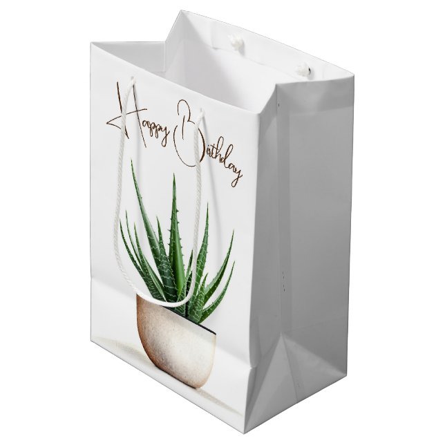 Birthday Succulent Plant In Pot Medium Gift Bag (Front Angled)