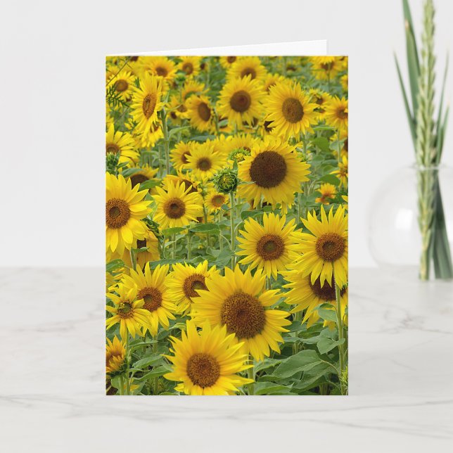 Birthday Sunflower Field Card (Front)