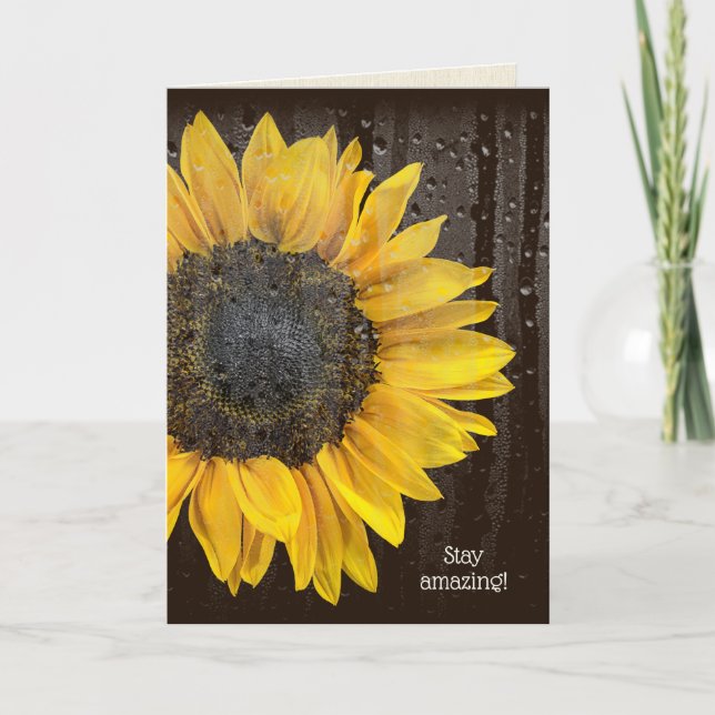 Birthday Sunflower with Raindrops Card (Front)