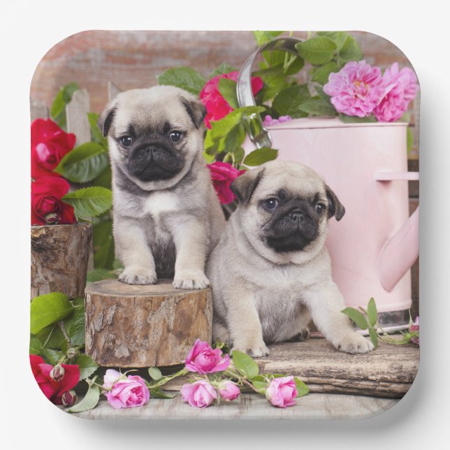 Birthday Sweet Baby Pugs Floral Party Paper Plate (Front)