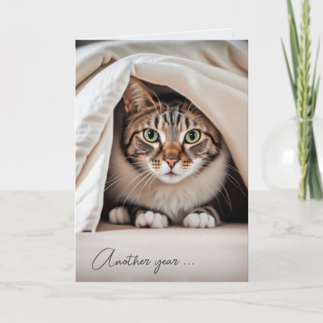 Birthday Tabby Cat Getting Old Humour Card (Front)