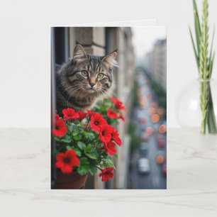 Birthday Tabby Cat In Apartment Window Card