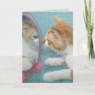 Birthday Tabby Cat in Mirror Card