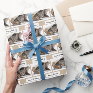 Birthday Tabby Cat in Paper Bag