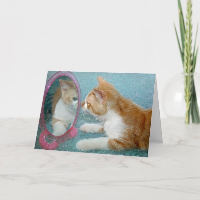 Birthday Tabby Cat Looking In a Mirror Card (Front)