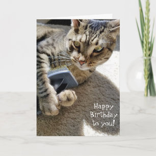 birthday tabby cat with brush card