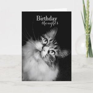 Birthday Thoughts from a Cat's Perspective (card) Card