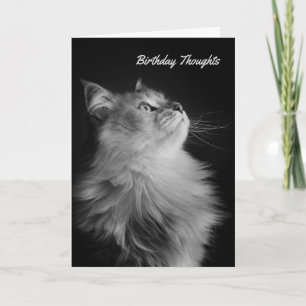 Birthday Thoughts, Siberian Style Card