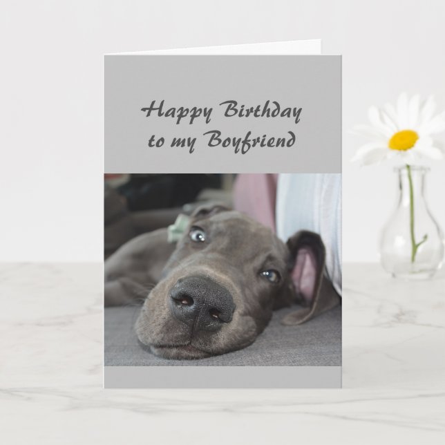 Birthday to my Boyfriend Fun Dog Relax Humor Card (Small Plant)