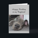 Birthday to my Boyfriend Fun Dog Relax Humor Card<br><div class="desc">Happy Birthday to my Boyfriend definition of Relax Humor Greeting with cute relaxing Great Dane Dog</div>