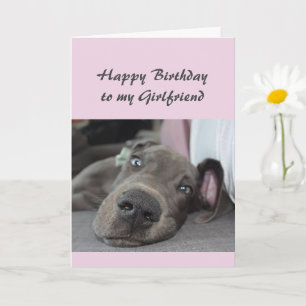 Birthday to my Girlfriend Fun Dog Relax Humor Card