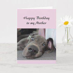 Birthday to my Mother Fun Dog Relax Humour Card