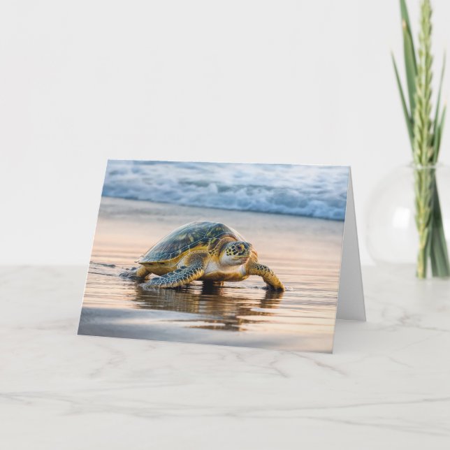 Birthday Turtle Walking On a Beach Card (Front)