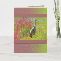 Birthday, Uncle, Sandhill Crane Bird
