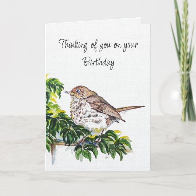 Birthday Watercolor Swainson's Thrush Bird Card (Front)