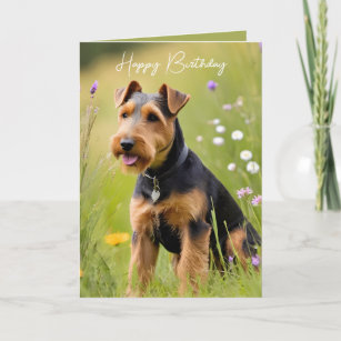 Birthday Welsh Terrier Card