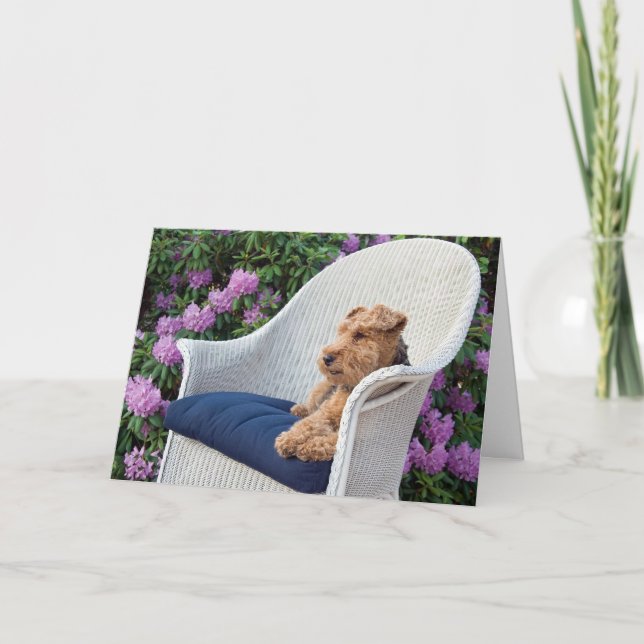 Birthday Welsh Terrier on Chair Card (Front)