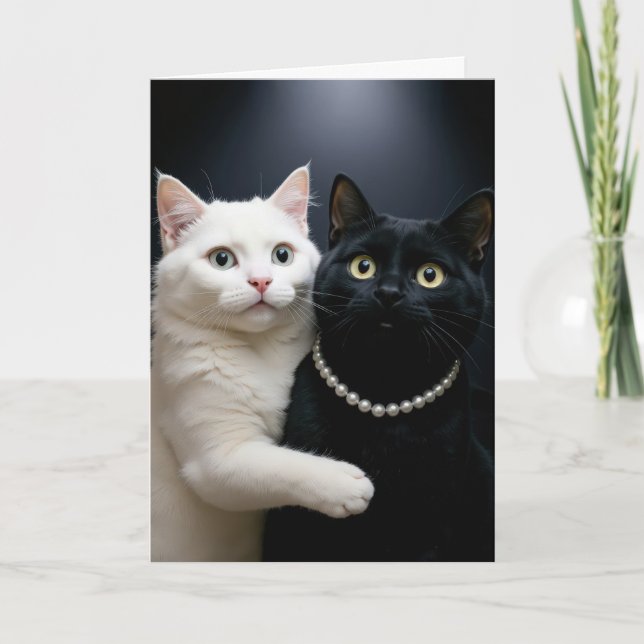 Birthday White Cat Hugging a Black Cat Card (Front)