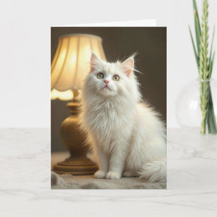 Birthday White Cat Sitting In Warm Lamplight Card
