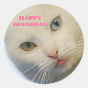 Birthday, white cat with a green eye & blue eye classic round sticker