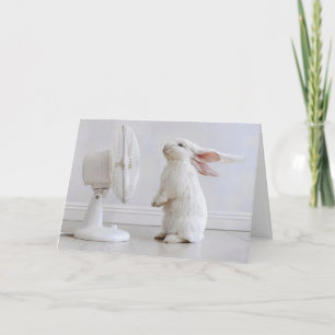 Birthday White Floppy-eared Rabbit Cooling Off Card