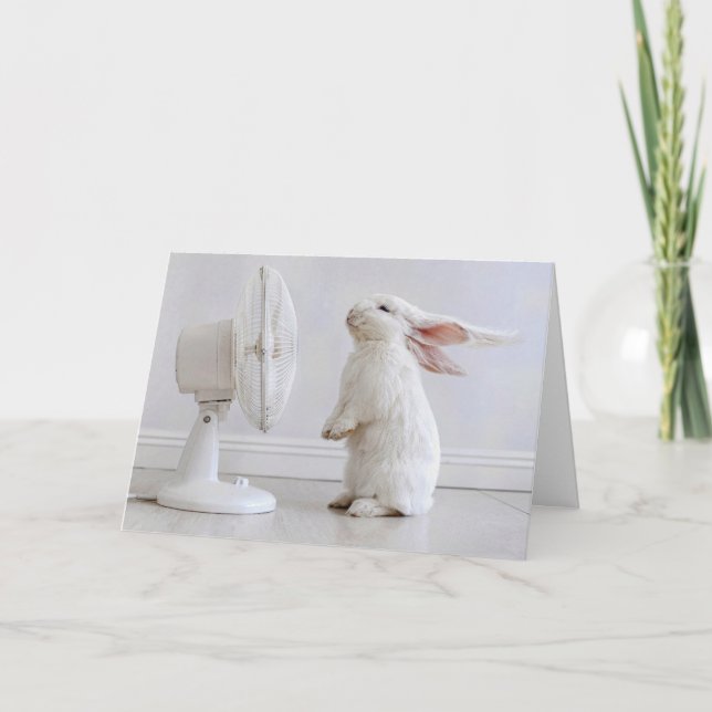 Birthday White Floppy-eared Rabbit Cooling Off Card (Front)