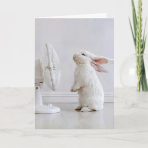 Birthday White Floppy-eared Rabbit Cooling Off Card