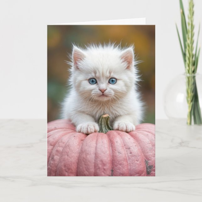 Birthday White Kitten On Pink Pumpkin Card (Front)