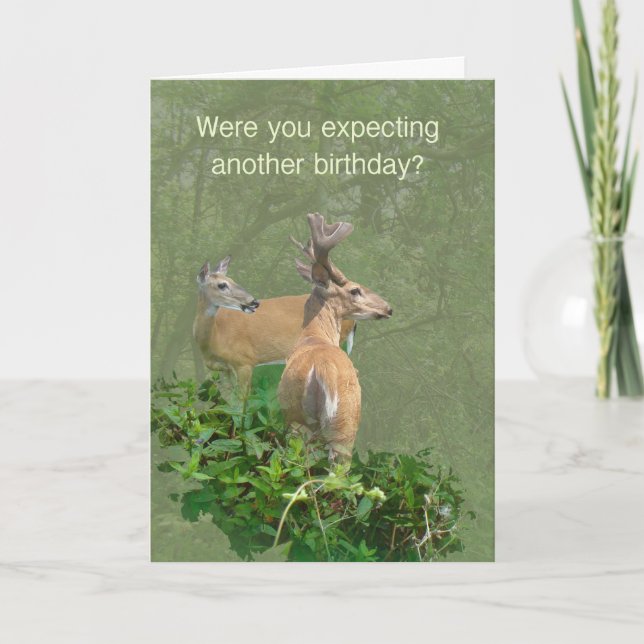 Birthday Whitetail Deer Buck & Doe Card (Front)