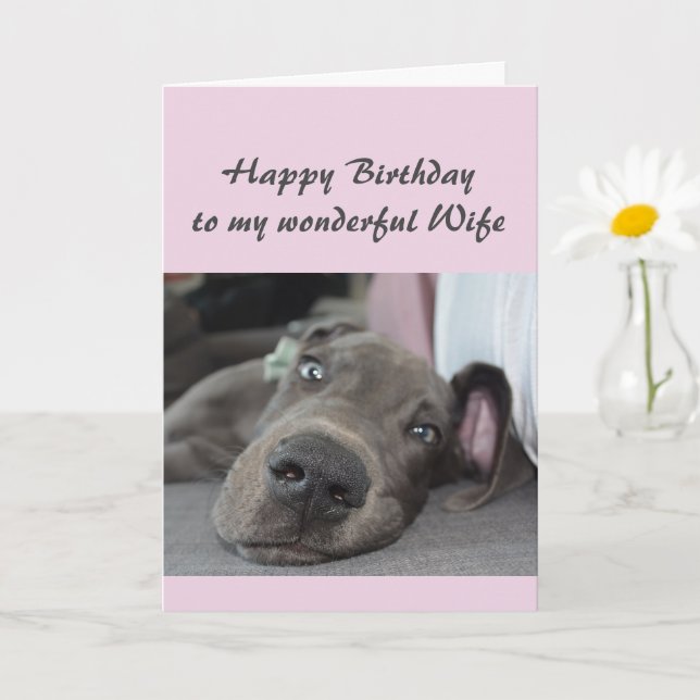 Birthday Wife Fun Dog definition of Relax Humour Card (Small Plant)