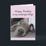 Birthday Wife Fun Dog definition of Relax Humour Card<br><div class="desc">Happy Birthday Wife definition of Relax Humour Greeting with cute relaxing Great Dane Dog</div>