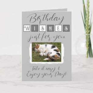 Birthday wishes add cat photo grey white card