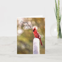 Birthday Wishes Cardinal Style Card