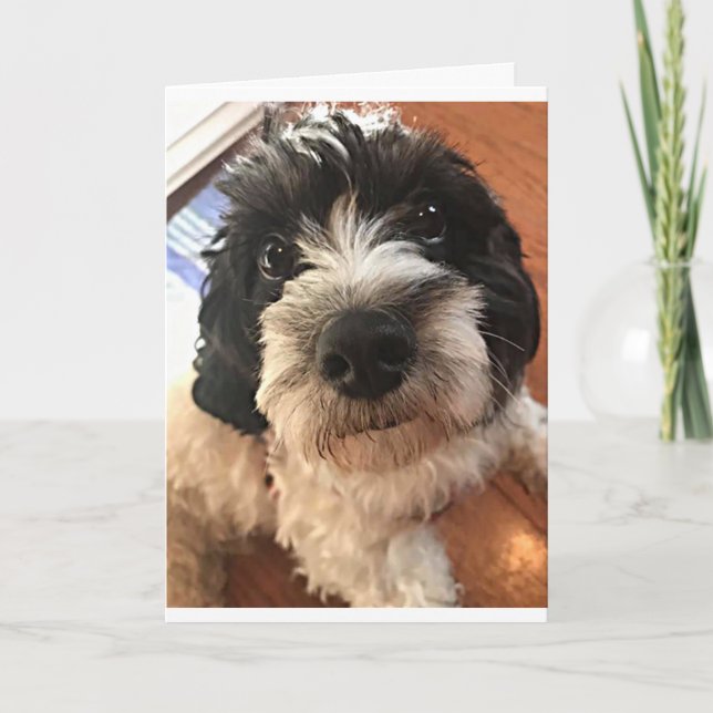 BIRTHDAY WISHES FOR A *BEST FRIEND* IN ALL WAYS CARD (Front)