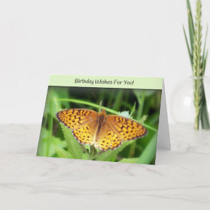 Birthday Wishes for You! Card