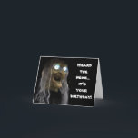 ***BIRTHDAY WISHES FROM A WITCH????** CARD<br><div class="desc">YOU NEVER KNOW WHO WILL BE GIVING ***BIRTHDAY ADVICE*** THESE DAYS SO BE CAREFUL WHO YOU LISTEN TO!!!! lol lol</div>