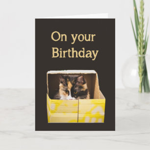 Birthday Wishes Happy as Cat in Box Fun Card