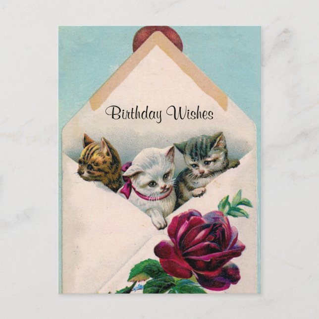 Birthday Wishes - Kittens in Envelope - Post Card (Front)