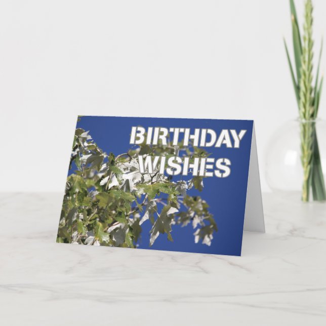 Birthday Wishes Leafy poplar tree, blue sky Card (Front)