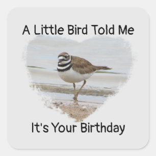 Birthday Wishes Little Bird Humourous Envelope Sea Square Sticker