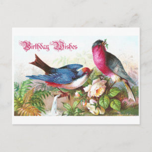 Birthday Wishes Postcard