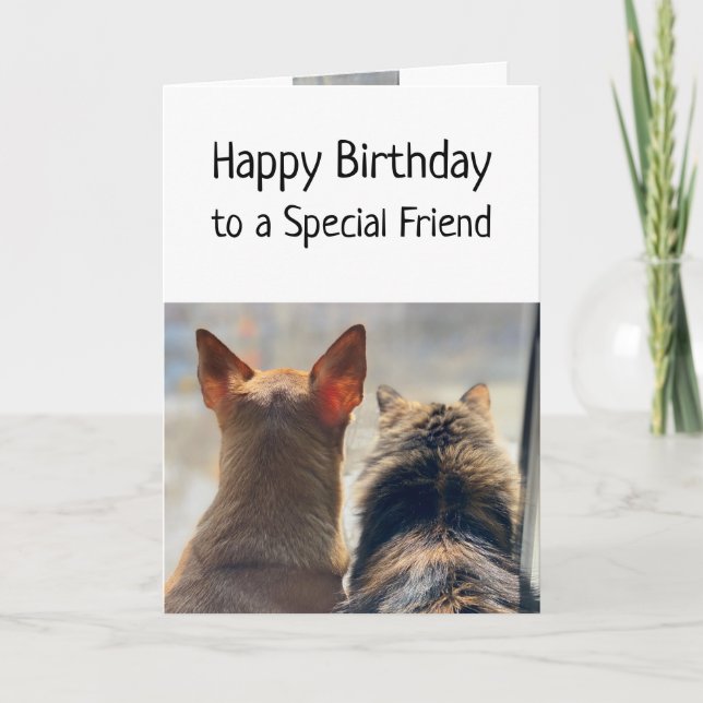 Birthday Wishes Special Friend Cute Animals Pets Card (Front)